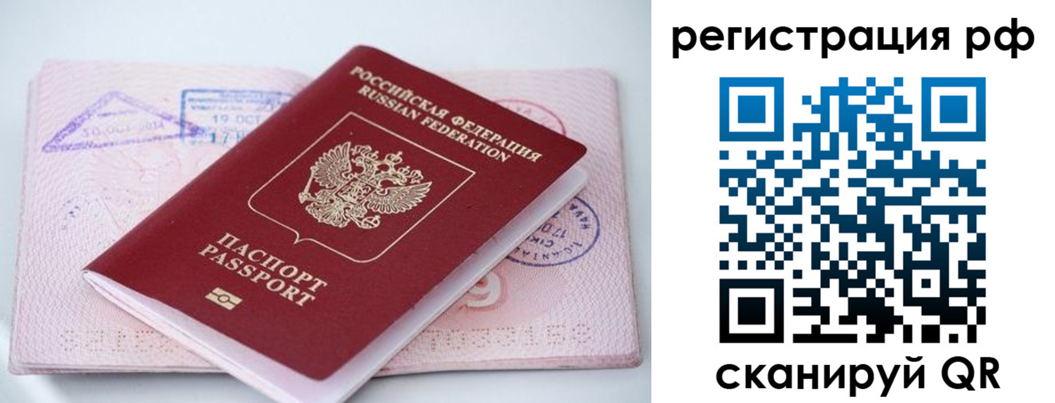 прописка штамп в Мытищах